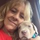 animal rescue volunteer, cliffords army, animal shelter, save animals