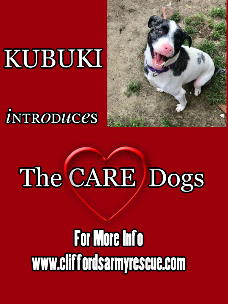 cliffords army rescue, animal rescue, donate to animal rescue