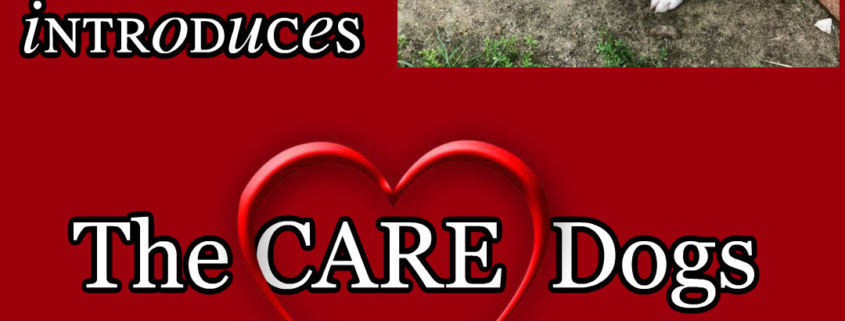 cliffords army rescue, animal rescue, donate to animal rescue